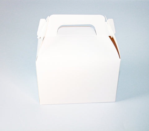 White Doughnut Box (20pcs)