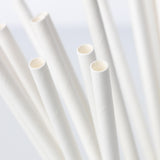Paper Straw (500pcs)
